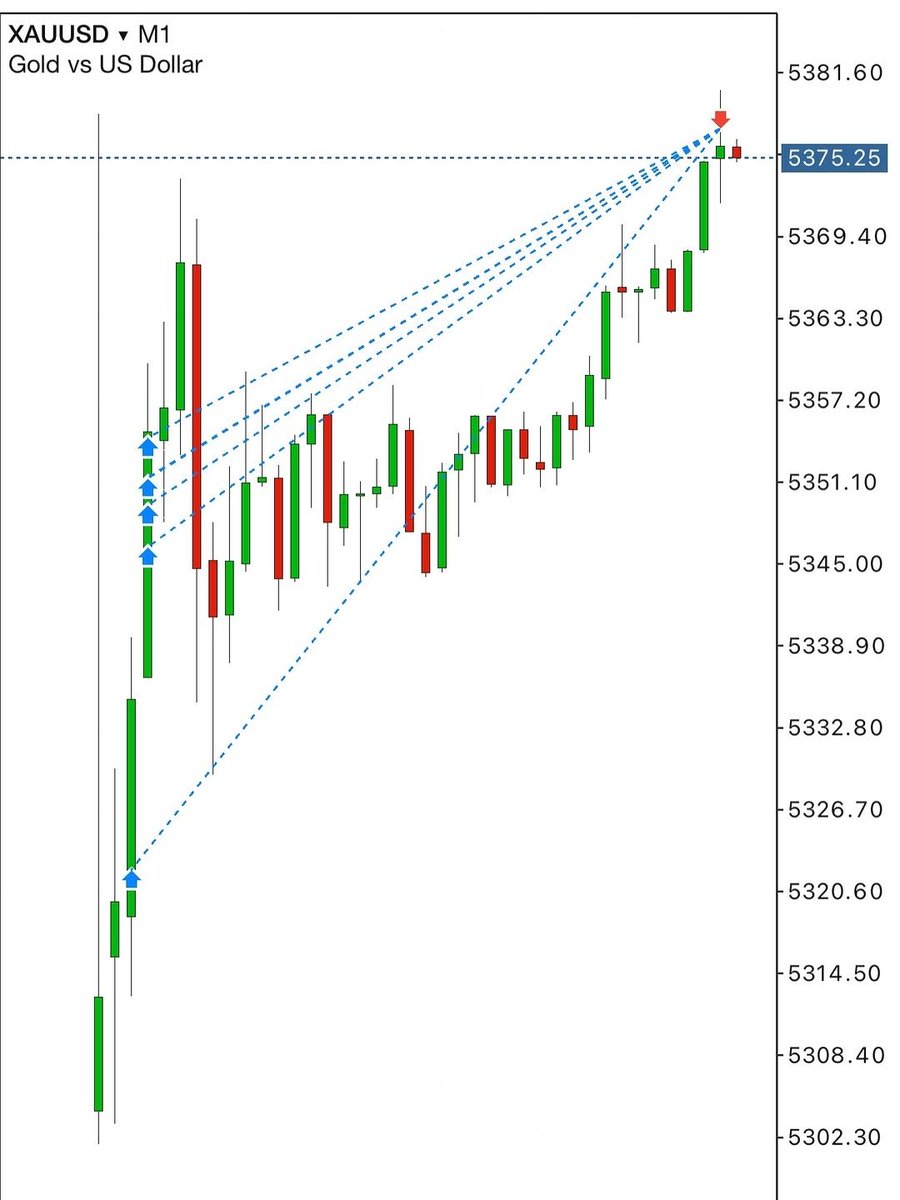 Darius Kelemen tweet media