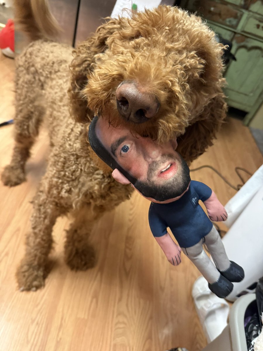 Huff92's tweet photo. Someone loves his @hen_ease dog toy 😂 we tell him “Go get Hank” @BarstoolBigCat  @PardonMyTake https://t.co/PxL3BXjHAV