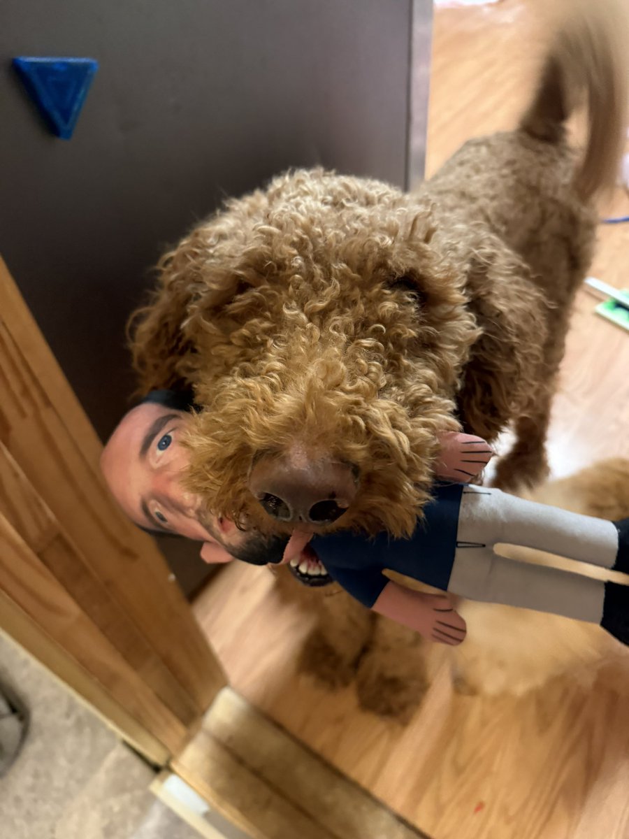 Huff92's tweet photo. Someone loves his @hen_ease dog toy 😂 we tell him “Go get Hank” @BarstoolBigCat  @PardonMyTake https://t.co/PxL3BXjHAV