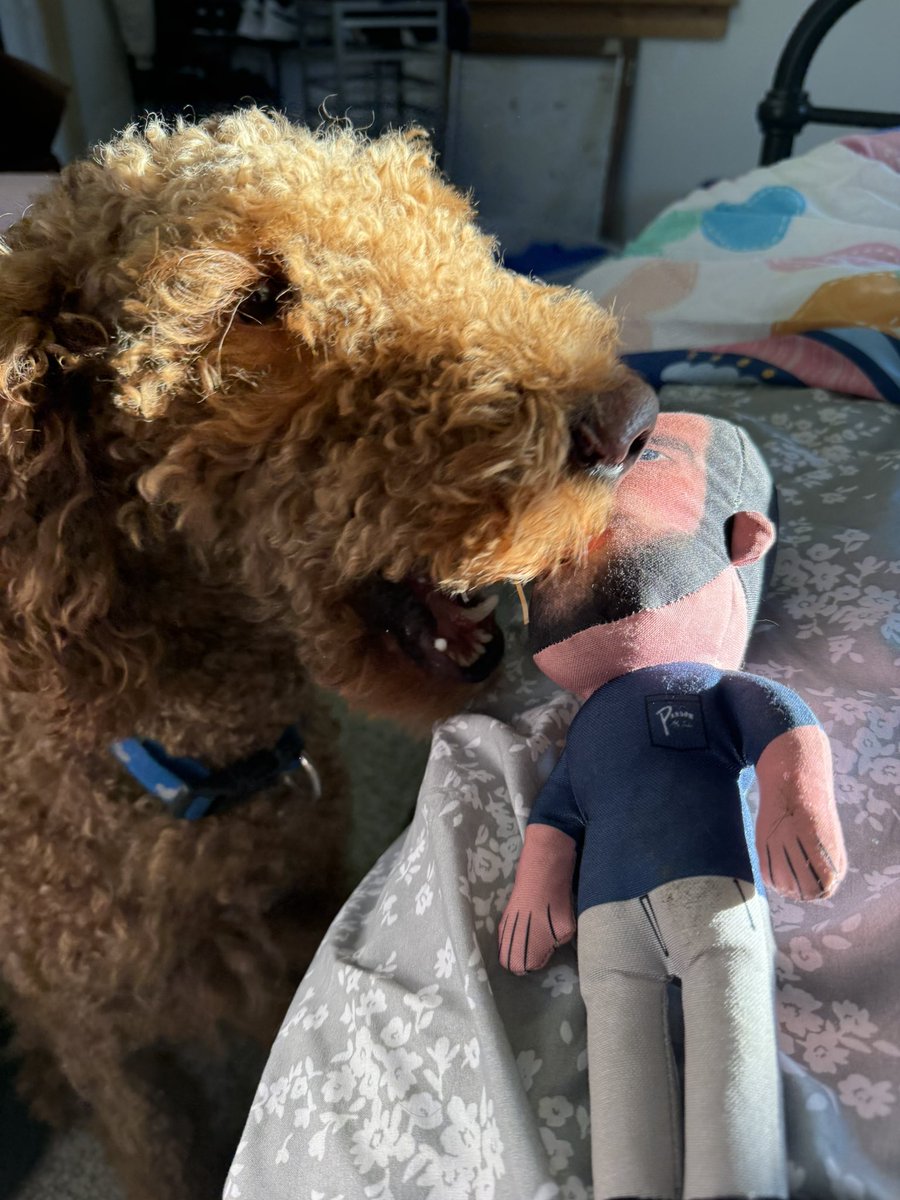 Huff92's tweet photo. Someone loves his @hen_ease dog toy 😂 we tell him “Go get Hank” @BarstoolBigCat  @PardonMyTake https://t.co/PxL3BXjHAV