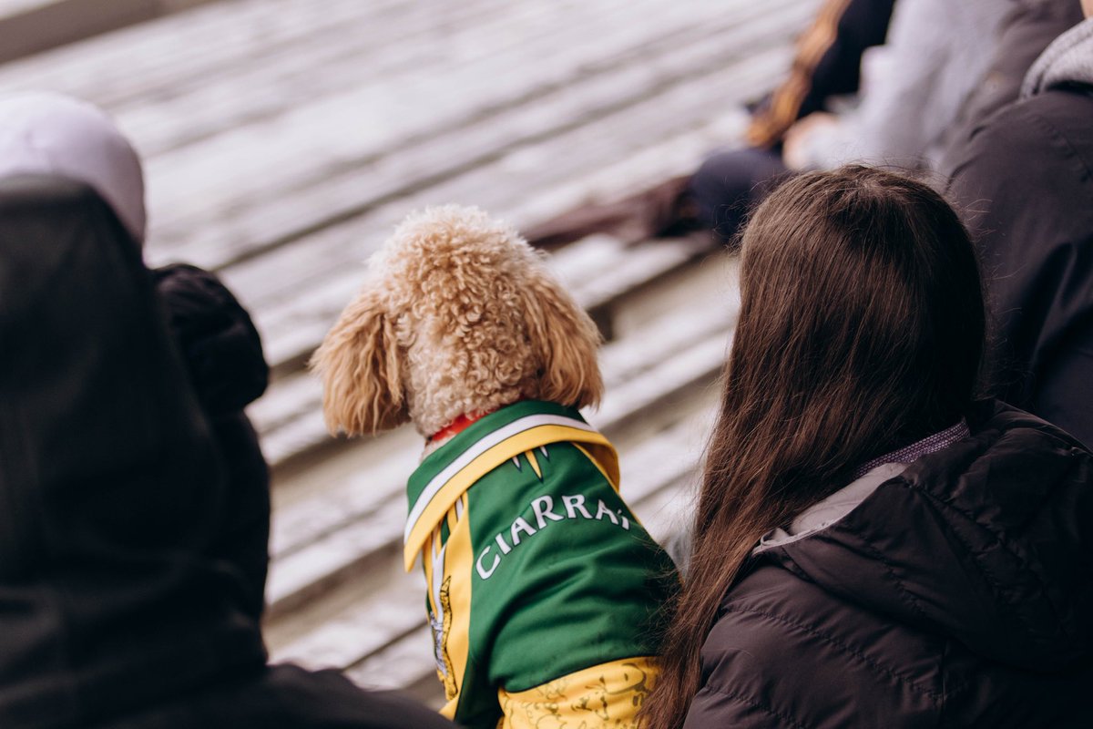 Fitzgerald Stadium tweet media