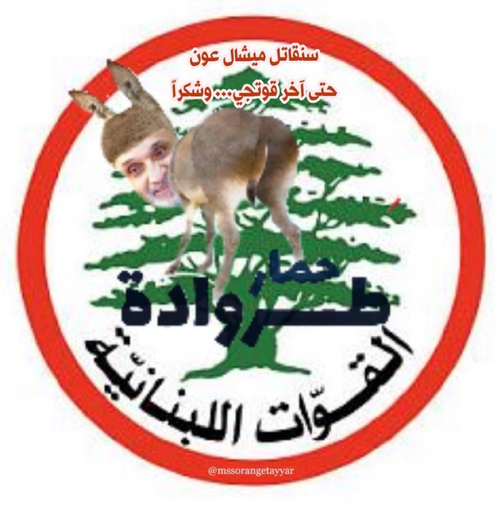 Tinkerbell24825's tweet photo. @YorghoF70 @Gebran_Bassil https://t.co/mVrImd3ctq