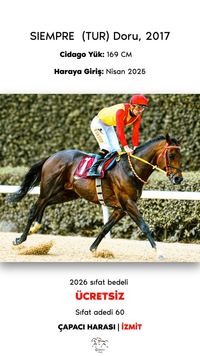 Capaci Stud 🇹🇷 tweet media