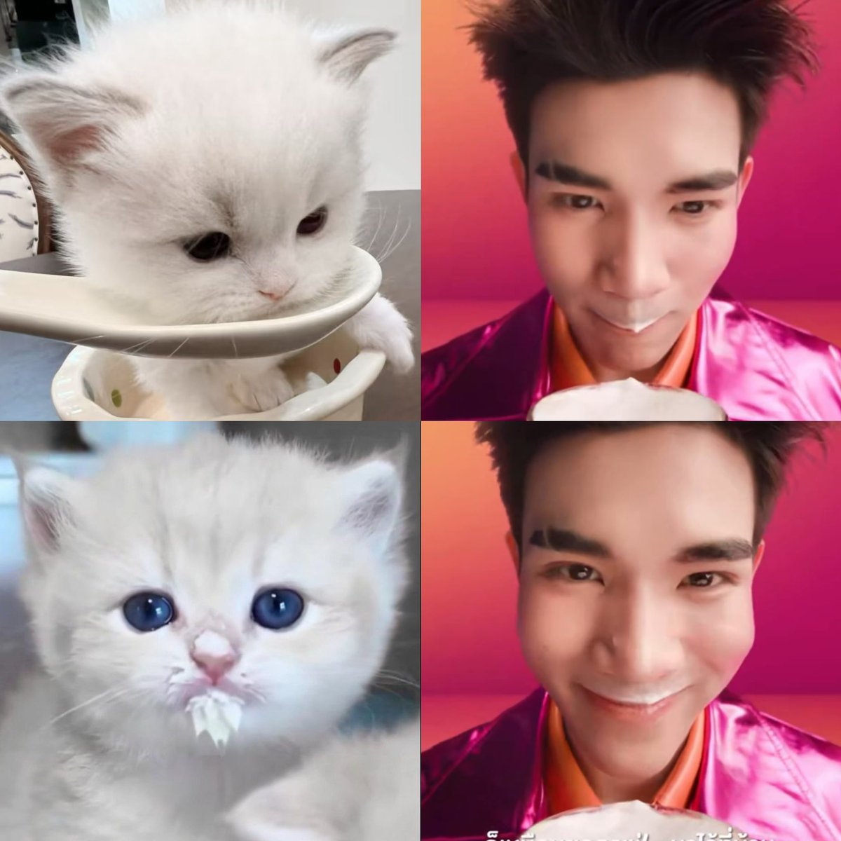 กิมนมเกลี้ยง เลี้ยงง่าย ยู้กแมวเด้กเด้ก ˙ . ꒷ 🐱🥛🎀 . 𖦹˙—