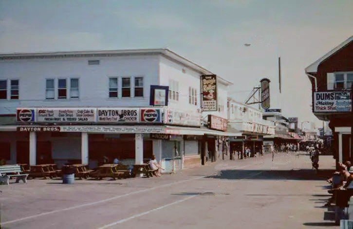 🎠 All Things OC 🎠 tweet media