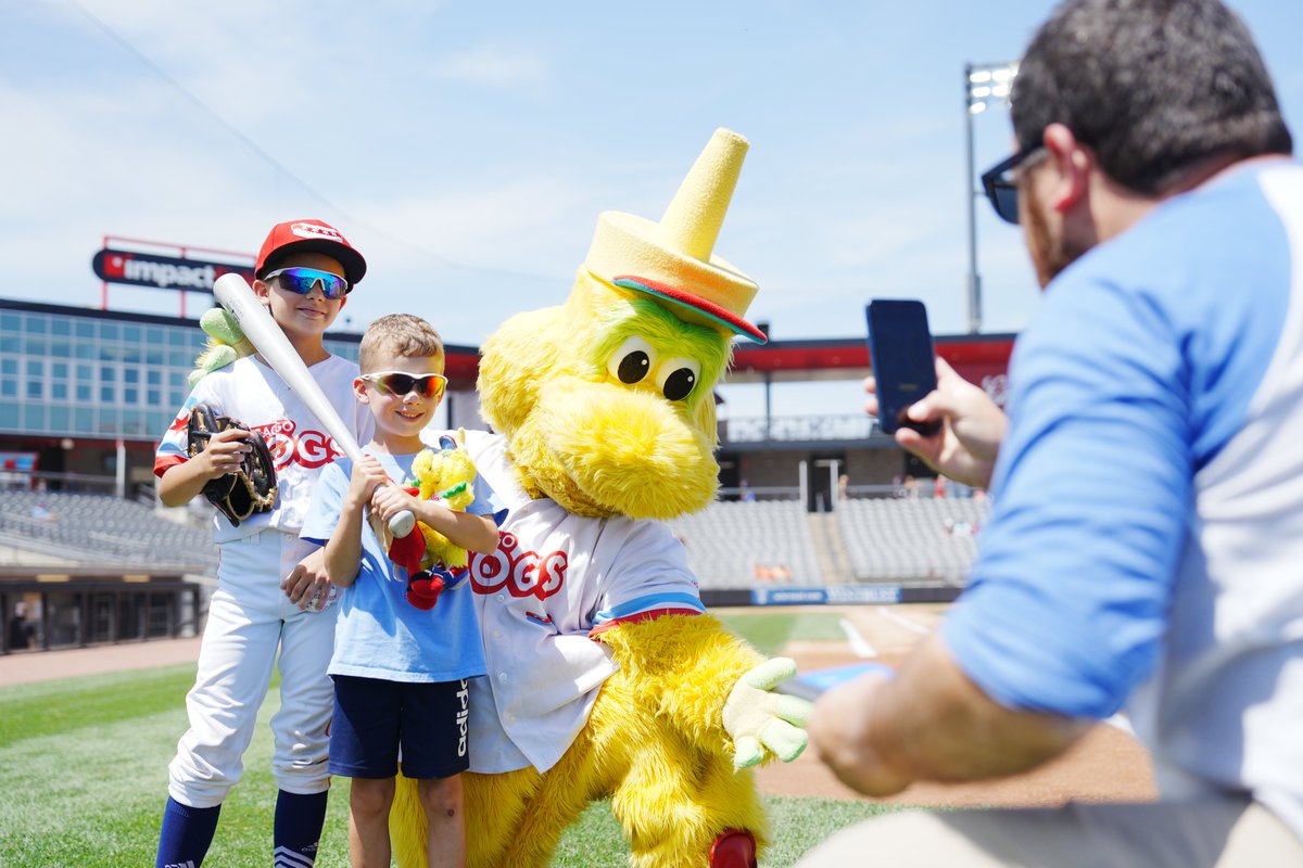 Chicago Dogs tweet media