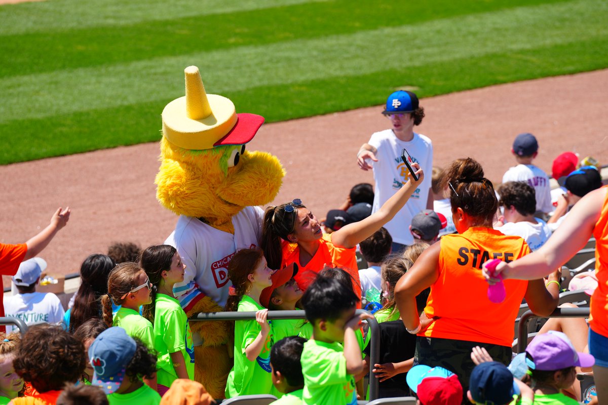 Chicago Dogs tweet media