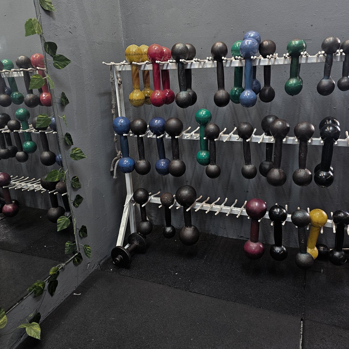 bibi 📊✨️ tweet media