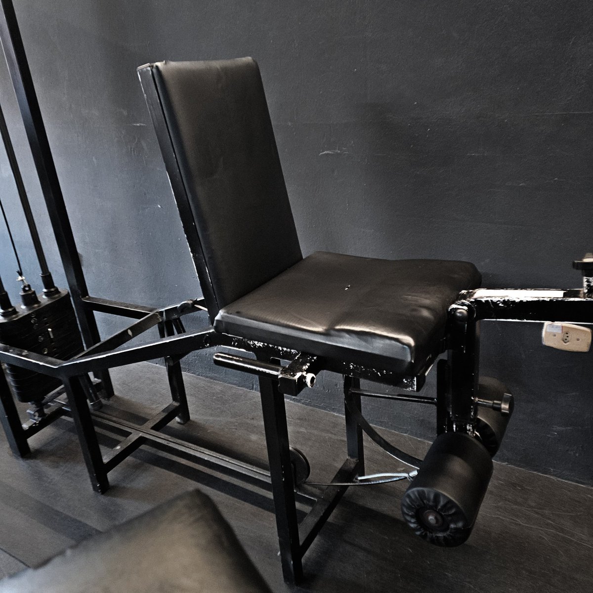 bibi 📊✨️ tweet media