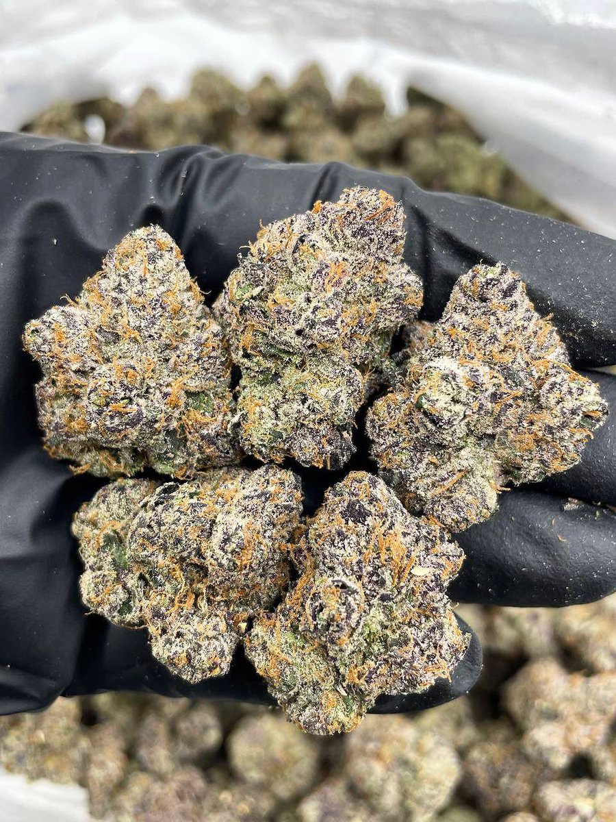 puffsnyc's tweet photo. Fire Top-shelf Exotic Zaza - Genuine exotic candy bud plug in Dallas, Los Angeles, Berlin. THC oil/liquid ready in Doha, Qatar. Juventus weed straight in Turin. Premium exotic drops in Miami and Atlanta. Solid, dependable source in Chicago. Premium quality strains in NC🔥 https://t.co/GgwSHIgpK8