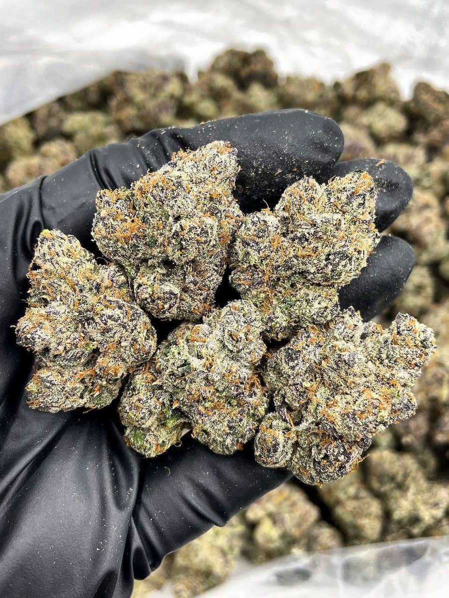 puffsnyc's tweet photo. Fire Top-shelf Exotic Zaza - Genuine exotic candy bud plug in Dallas, Los Angeles, Berlin. THC oil/liquid ready in Doha, Qatar. Juventus weed straight in Turin. Premium exotic drops in Miami and Atlanta. Solid, dependable source in Chicago. Premium quality strains in NC🔥 https://t.co/GgwSHIgpK8