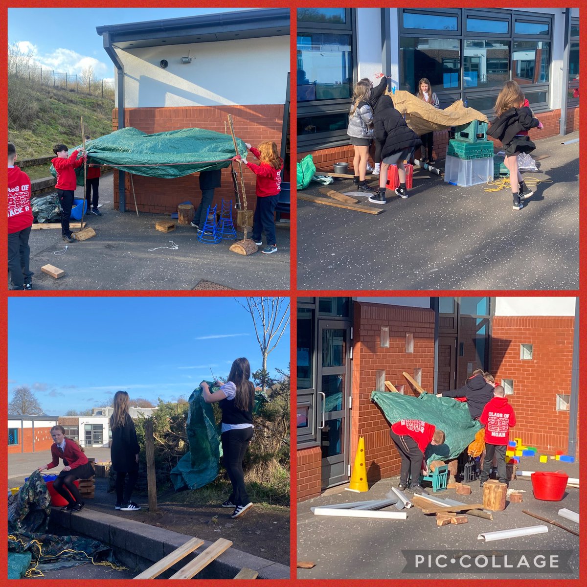 Mrs Alexander P7 🧡 tweet media