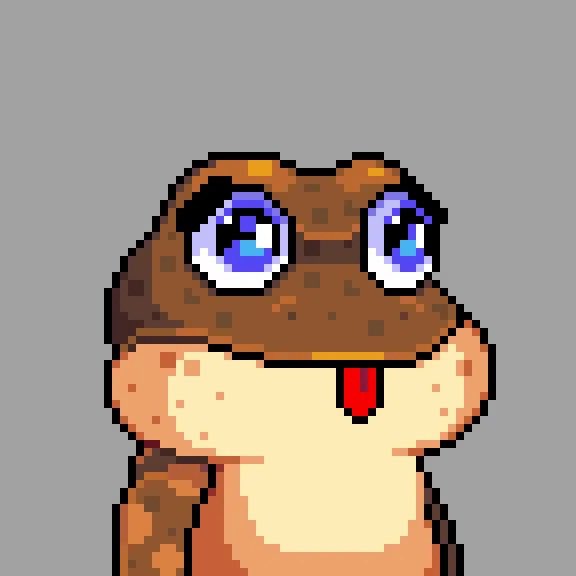JulbyJuli's tweet photo. The BEST Bitcoin Frogs I HODL 🐸 https://t.co/DcaftEtjDo