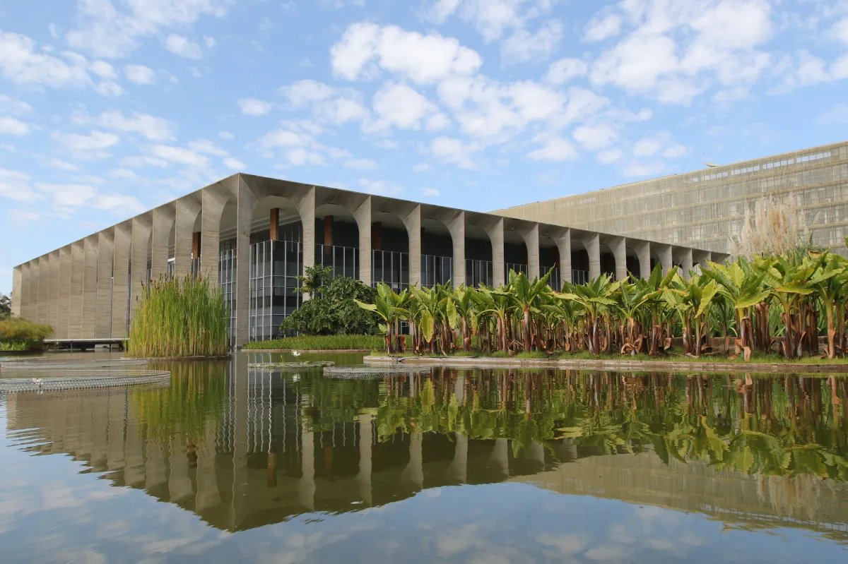 Pedro Rousseff tweet media