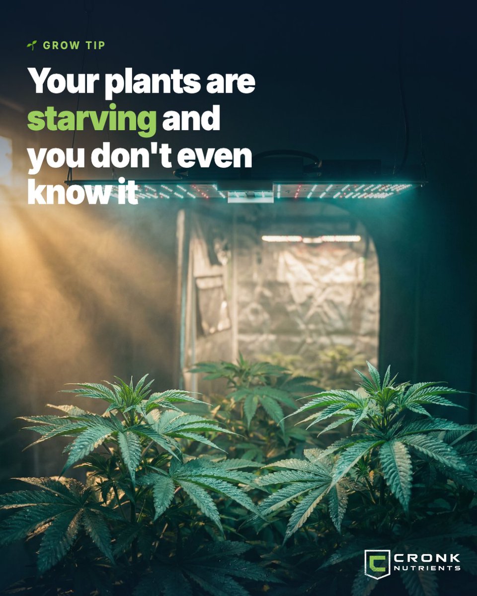 CronkNutrients tweet media