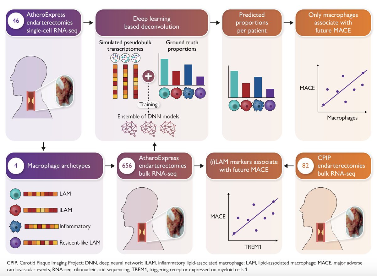 Marios Georgakis tweet media