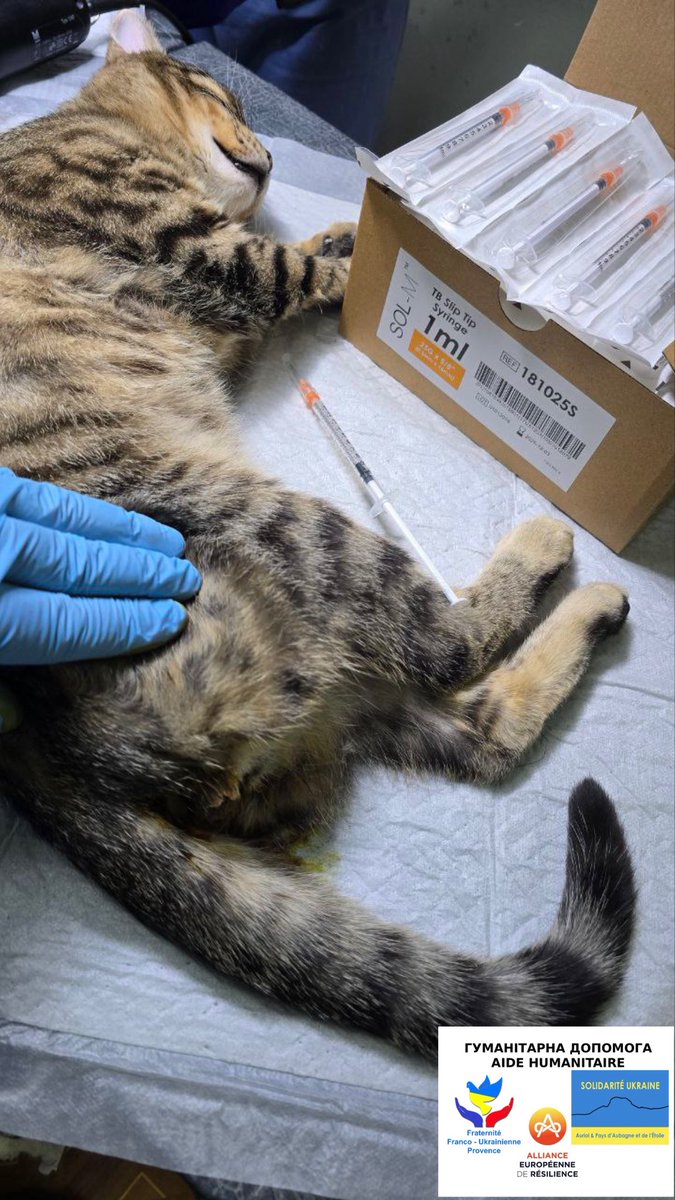 I want to thank you for the generous donation to our veterinarian, who was able to cure without pets🫂