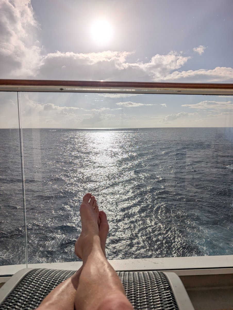 TigerTamer8's tweet photo. #currentview https://t.co/v1LzPxwkjH