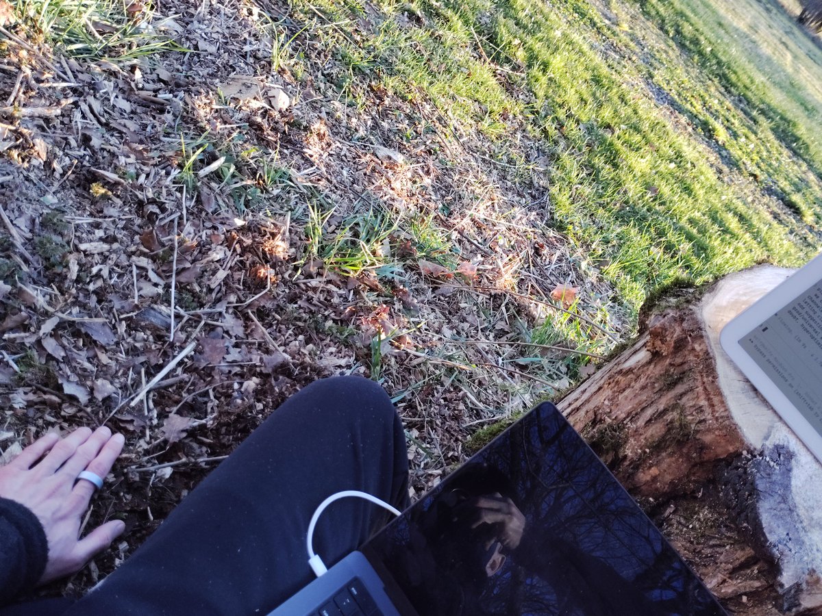 Welf von Hören tweet media