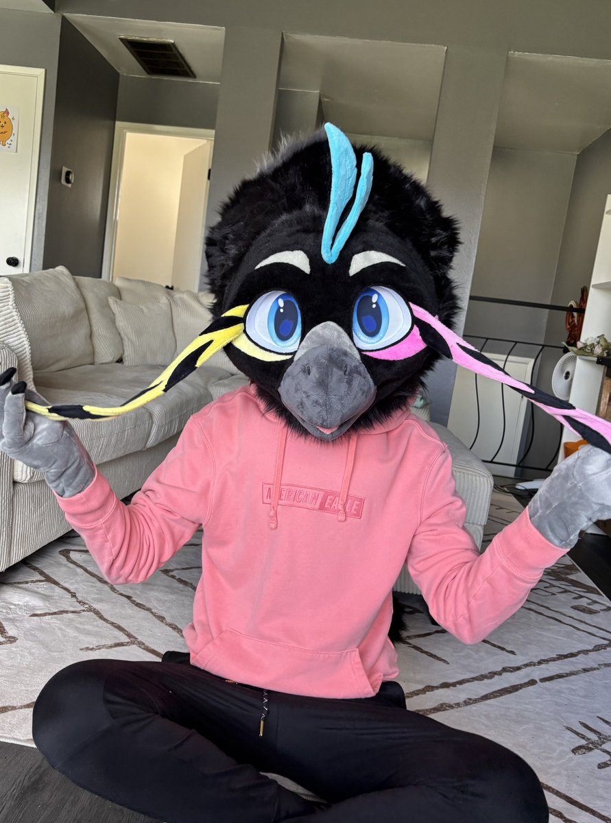 Gemelli (bird) tweet media