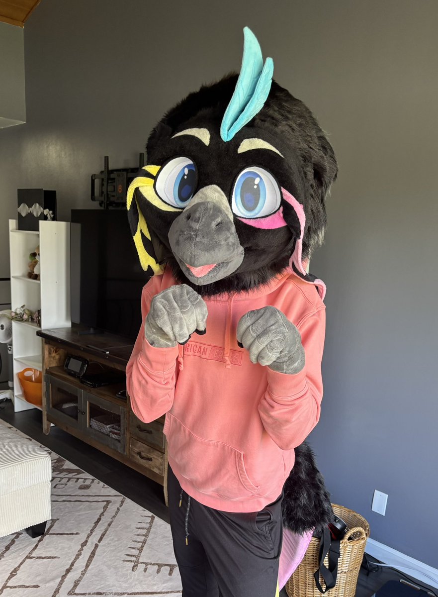 Gemelli (bird) tweet media