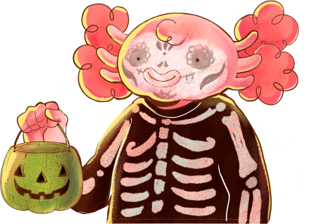 Fáyer🔥 tweet media