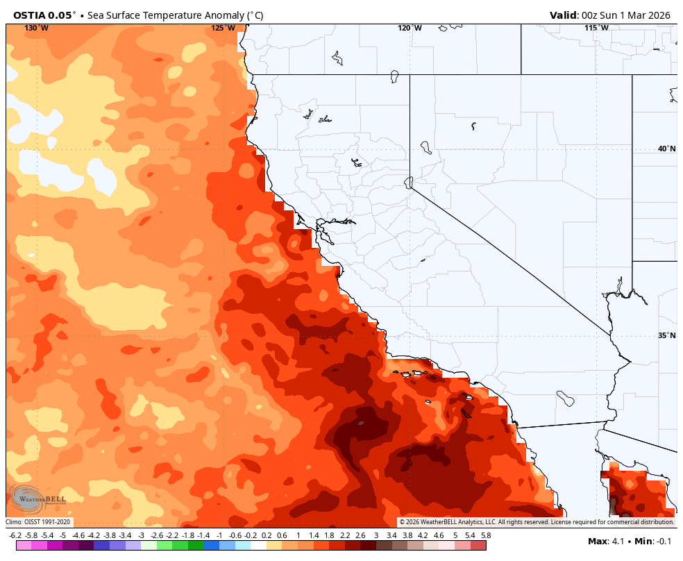 Colin McCarthy tweet media