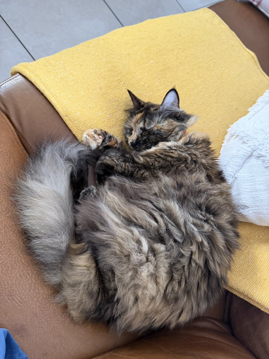 Jaimin Patel tweet media