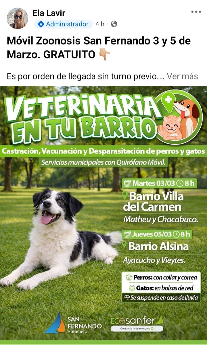 protegealanimal's tweet image. SAN FERNANDO
#SANFERNANDO #BARRIOSANJORGE #BARRIOMILVIVIENDAS #BARRIOFATE #VIRREYES #ISLAS #BARRIOPRESIDENTEPERÓN #VILLADELCARMEN #BARRIOCARUPÁ #BARRIOALSINA #BARRIOSANJORGE #PLAZAINFICO #INFICO #BARRIOAVIACIÓN #BARRIOSANJOSÉ #VICTORIA #ZONANORTE #GRANBSAS #BSAS #BUENOSAIRES