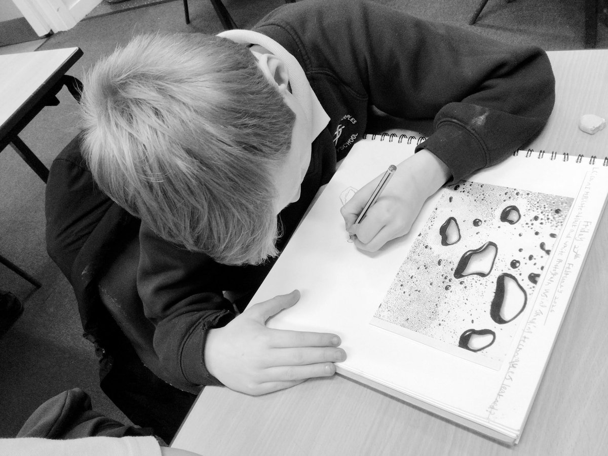Canon Sharples Year Five tweet media