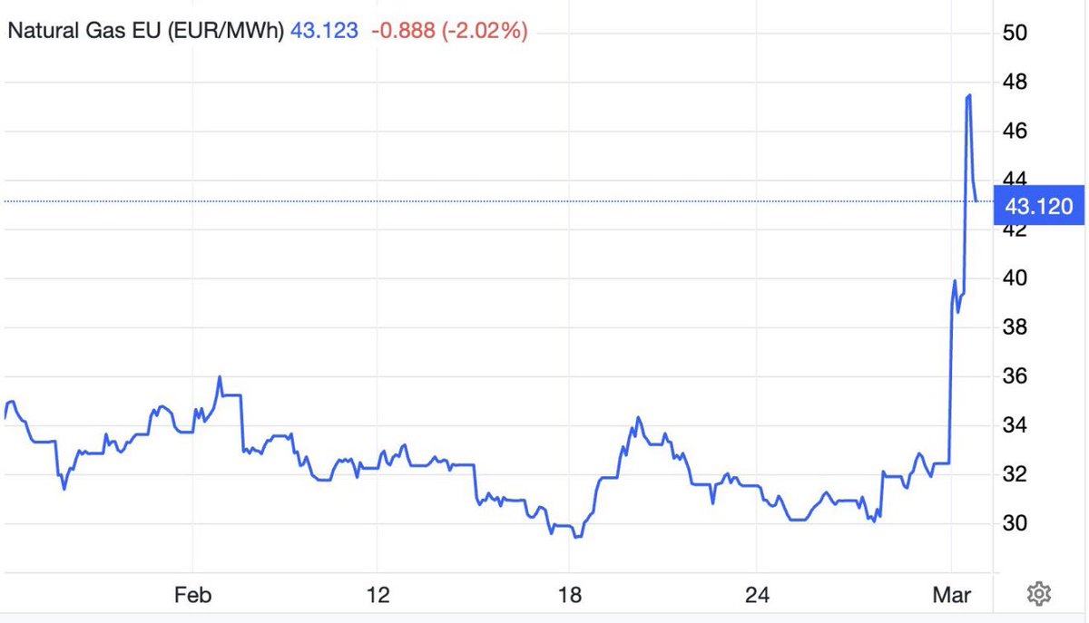 Letizia Magaldi tweet media