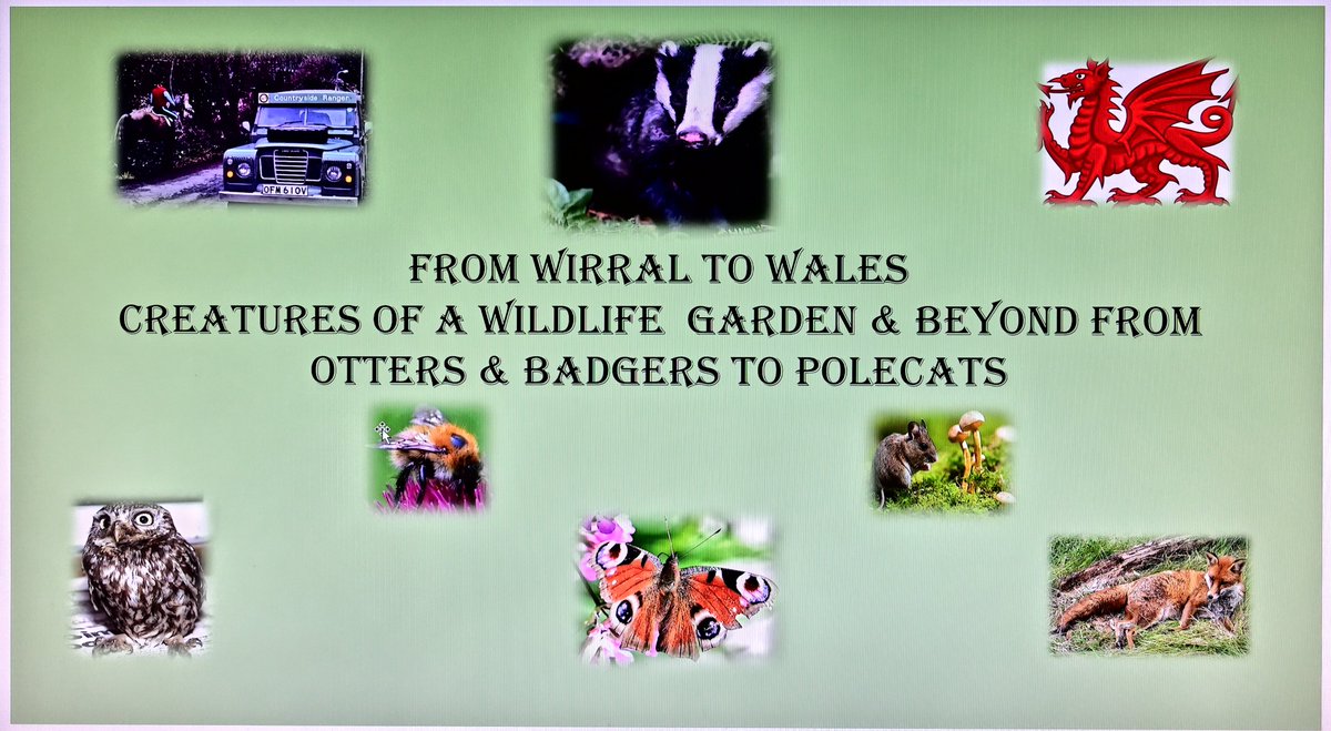 Mal Ingham tweet media