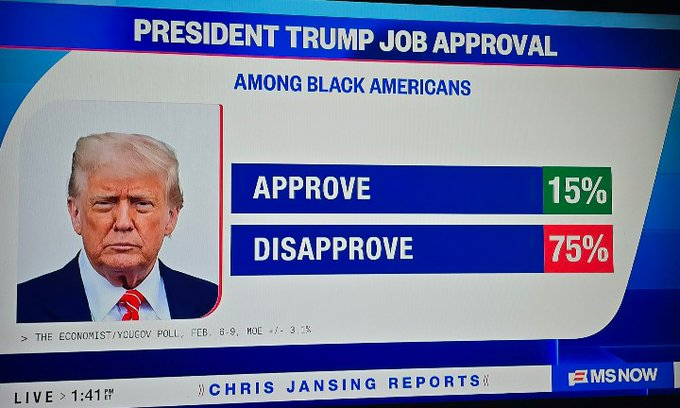 Mert Adam tweet media