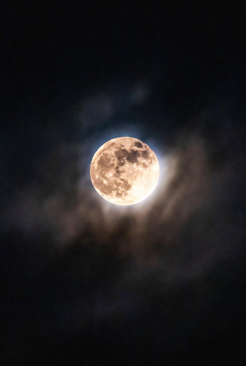 The Khaleesee tweet media