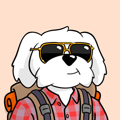 K9Strategy tweet media