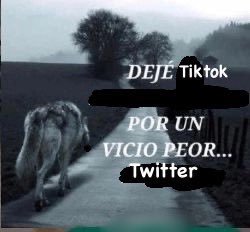 rod 𝜗ৎ tweet media