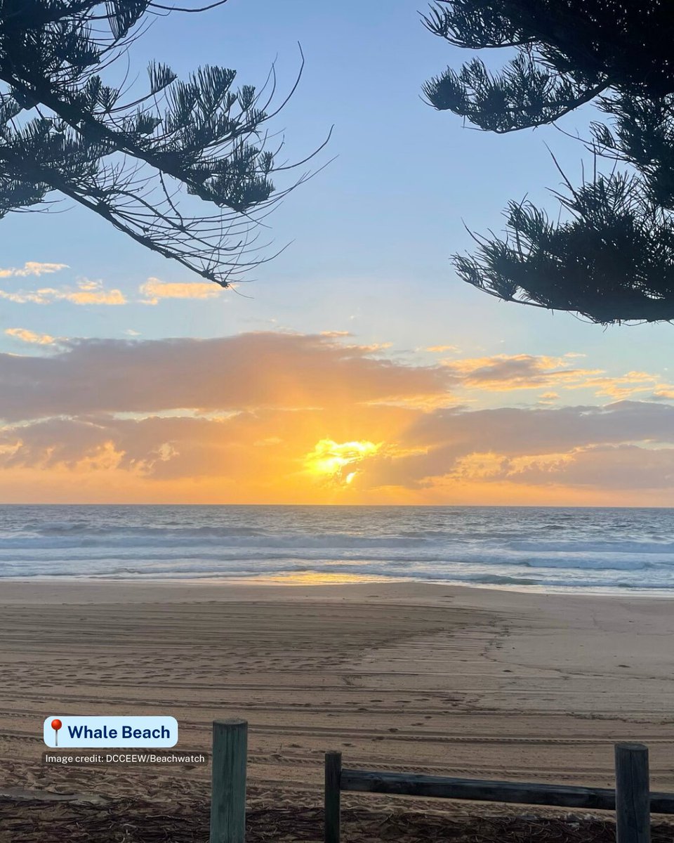 A few swim sites may still be impacted by stormwater pollution this morning.
Check our website for information: beachwatch.nsw.gov.au/home
Check for signs of pollution before swimming such as flowing drains, murky water, unpleasant odours, and litter and debris in the water.