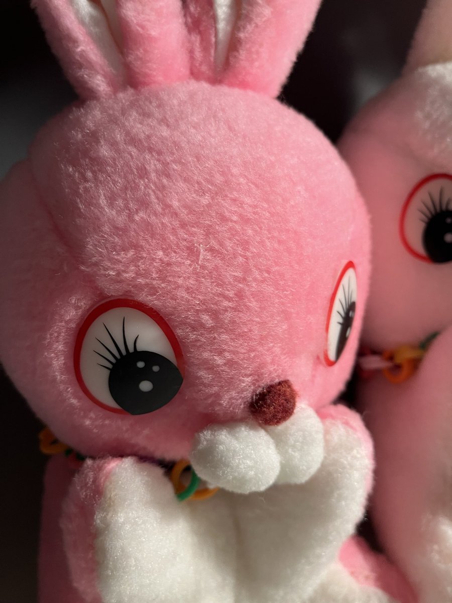 3月3日ひな祭りですが何故か可愛子ちゃんシスターズ貼ります🐰 4月頭