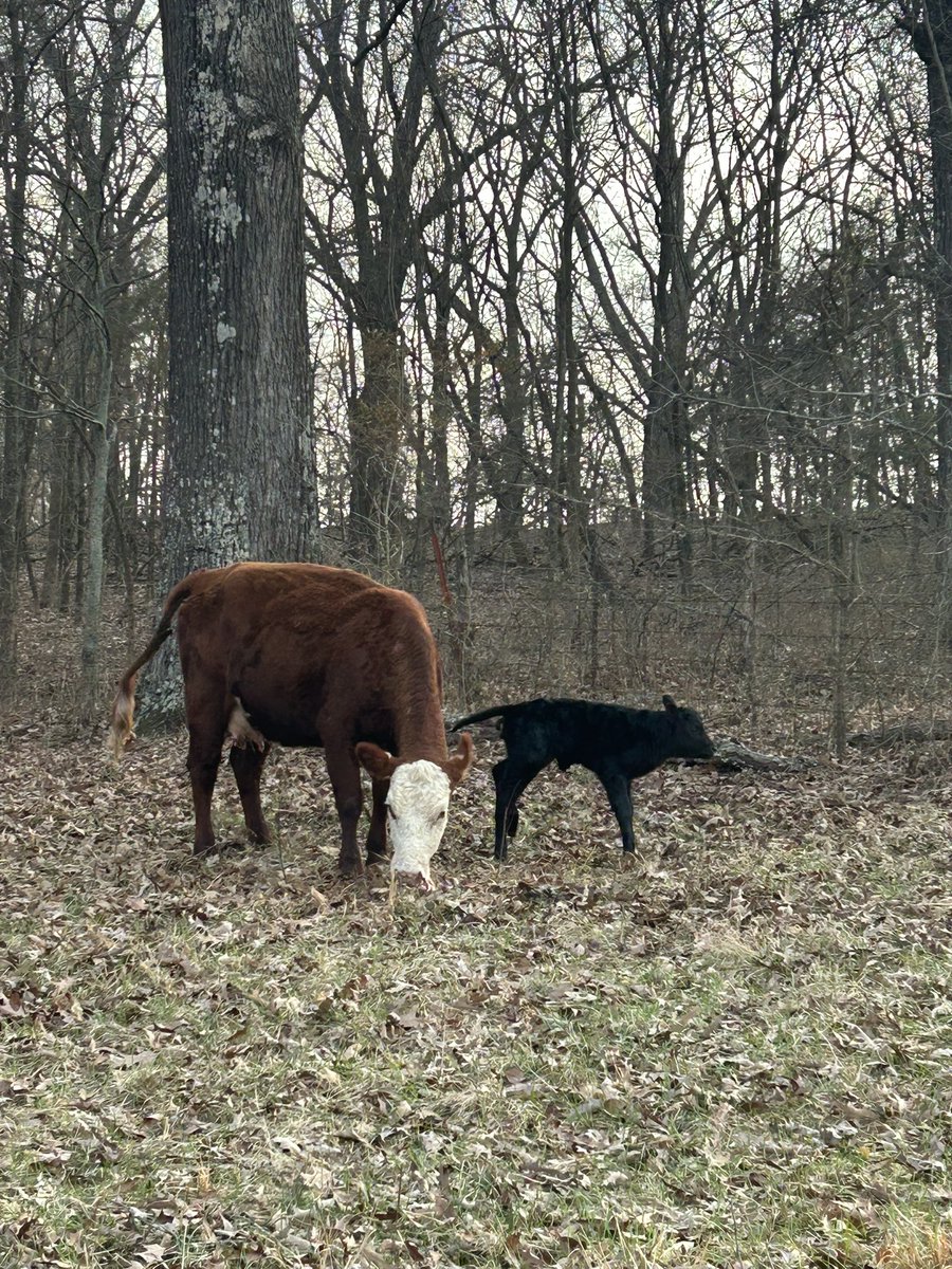 Matt Carter tweet media