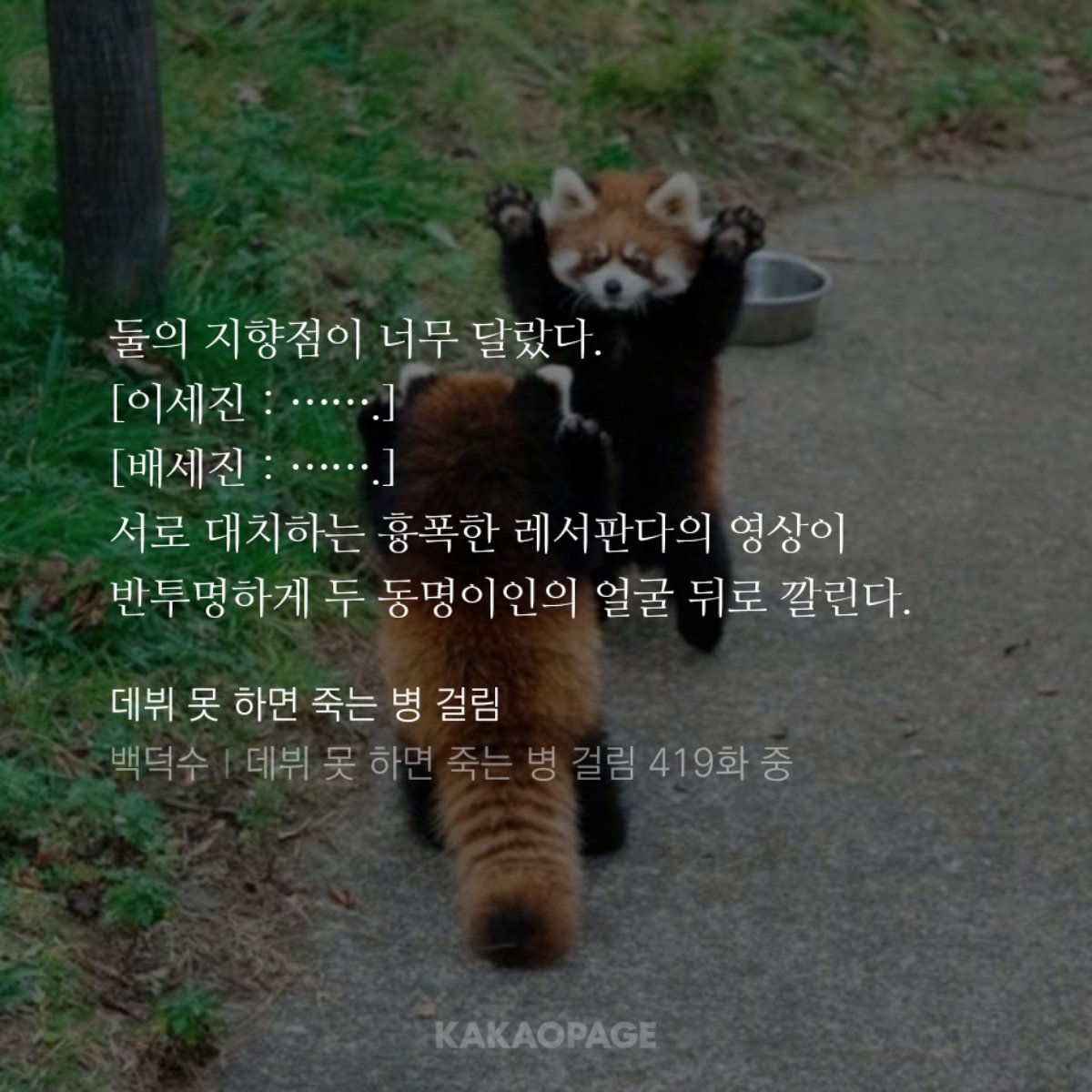 반죽 tweet media