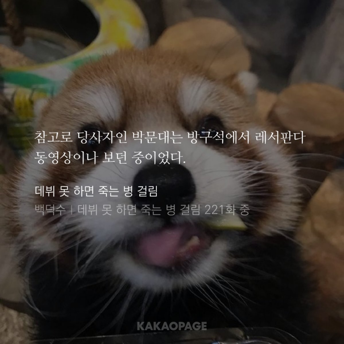 반죽 tweet media