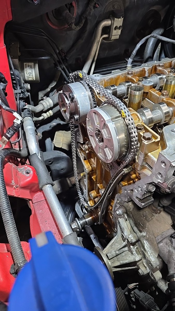 Lace 🎀 tweet media