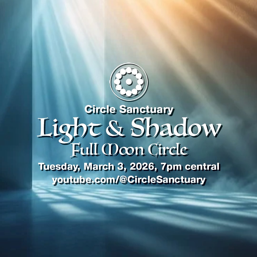 Selena Fox tweet media