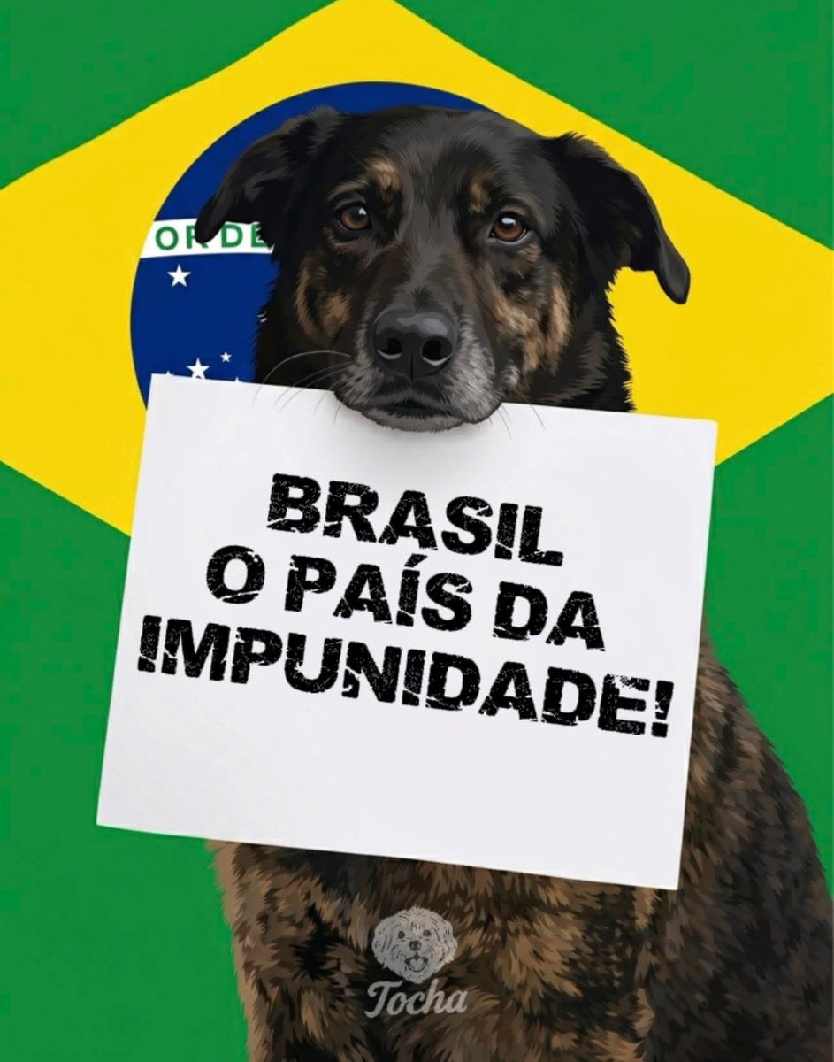 Brasil: o país onde a lei só serve para o pobre e o castigo só alcança o inocente!

Impunidade que mata: Enquanto o sistema protege quem tem caneta e dinheiro, o resto de nós humanos e animais fica à mercê da própria sorte.

Cadê a Ordem? Cadê o Progresso?. Usam a nossa bandeira