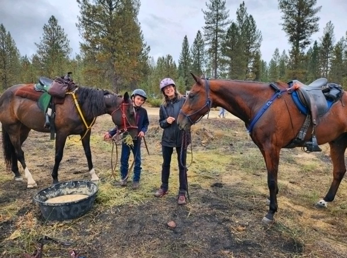 MerriTEV's tweet photo. Well, I just found out that Hillbillie Willie and Oreanthi tied for AERC's 2025 High Mileage Standardbreds! (Willie's 4th time!)
Here is Willie, on the right, meeting Oreanthi and her rider Liam at Old Selam 2 years ago.
#standardbred #standardbredsrock https://t.co/0DLyOJL1kb