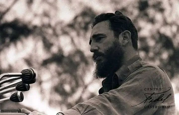 @gallardo-UNICA tweet media