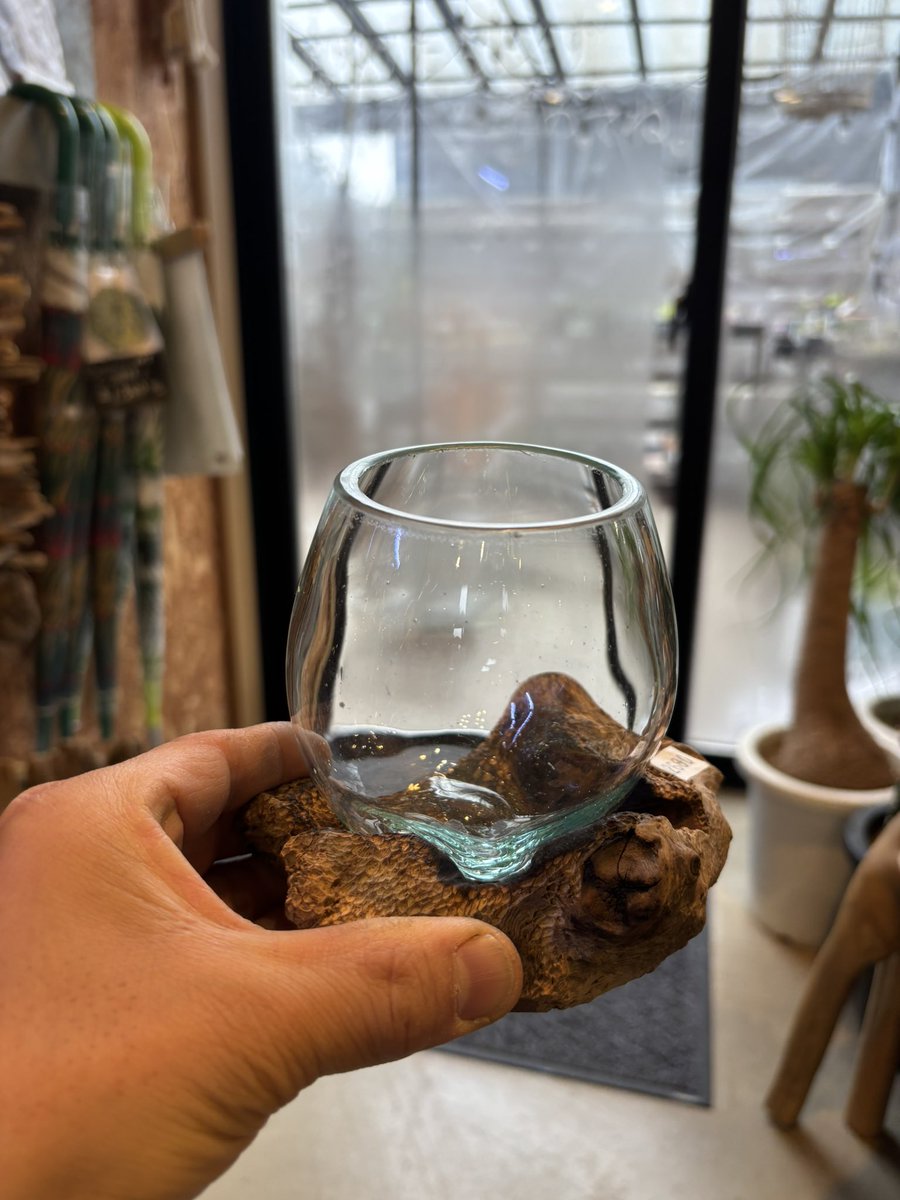 流木ガラス 入荷しました‼️ 今回はミニのSSサイズも新しく仲間入り
