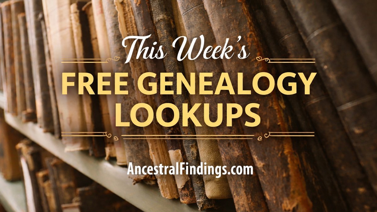 Ancestral Findings 🌳 tweet media