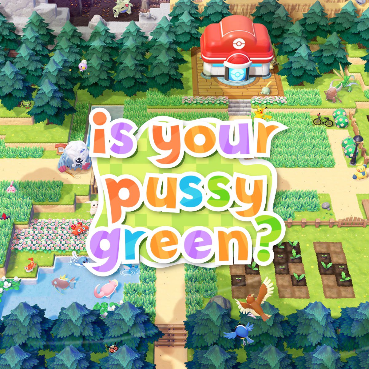 Freddie 🌻 tweet media