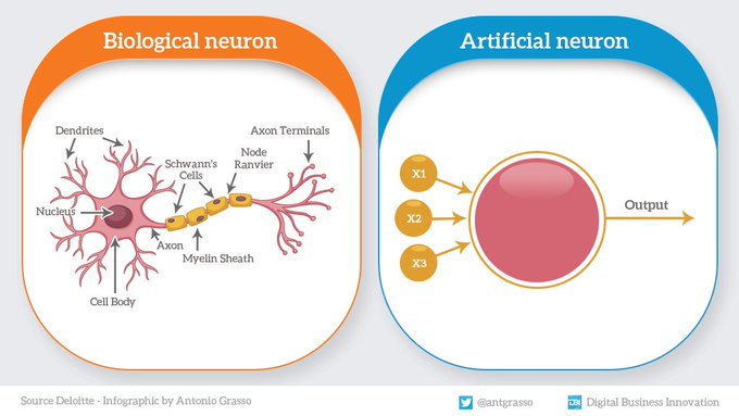 dInnovaTrain's tweet image. What are the main differences between a biological neuron and a neuron simulated by computer neural networks? Huge, uncomparable.

Yet, artificial intelligence will smartly help us to be even more human.

Rt #infographic by @antgrasso #AI #NeuralNetworks